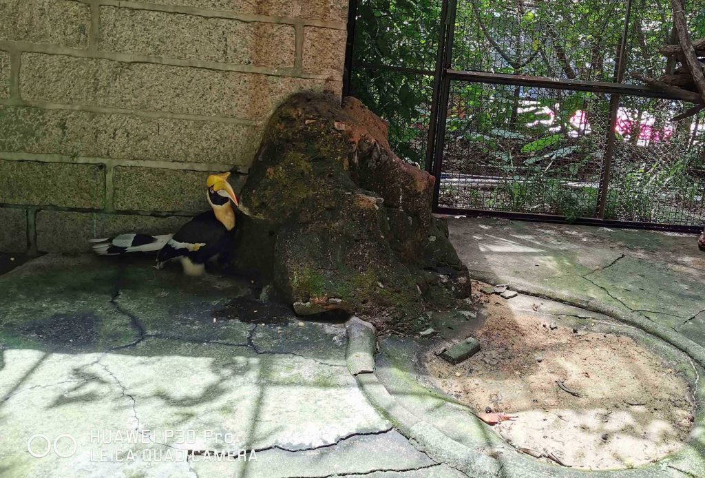 深圳野生动物园-第6张图片